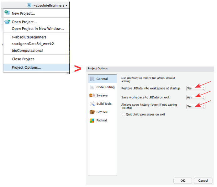 Figure 2: Customize Project